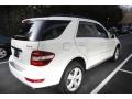 Arctic White - ML 350 4Matic Photo No. 6