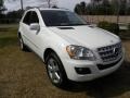 Arctic White - ML 350 4Matic Photo No. 1