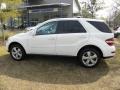 Arctic White - ML 350 4Matic Photo No. 2