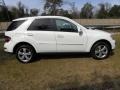 Arctic White - ML 350 4Matic Photo No. 13