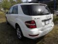 Arctic White - ML 350 4Matic Photo No. 16