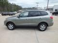 Natural Khaki Green - Santa Fe GLS Photo No. 8