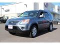 Pewter Pearl - CR-V Special Edition 4WD Photo No. 2
