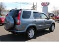 Pewter Pearl - CR-V Special Edition 4WD Photo No. 5