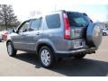 Pewter Pearl - CR-V Special Edition 4WD Photo No. 7