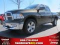 2012 Sagebrush Pearl Dodge Ram 1500 Big Horn Quad Cab  photo #1