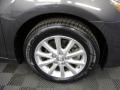 2010 Toyota Camry XLE V6 Wheel and Tire Photo