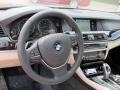 Oyster/Black Steering Wheel Photo for 2012 BMW 5 Series #61266074