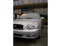 Bright Silver - Sonata GLS V6 Photo No. 2