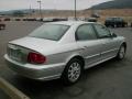 Bright Silver - Sonata GLS V6 Photo No. 6