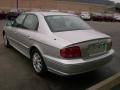 Bright Silver - Sonata GLS V6 Photo No. 9