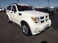 Stone White - Nitro SXT Photo No. 3