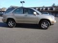 Burnished Gold Metallic - RX 300 Photo No. 3