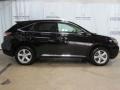 2010 Obsidian Black Lexus RX 350 AWD  photo #3