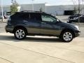 Smokey Granite - RX 350 AWD Photo No. 4