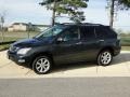 Smokey Granite - RX 350 AWD Photo No. 9