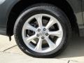 2009 Lexus RX 350 AWD Wheel and Tire Photo