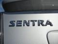 Brilliant Silver Metallic - Sentra 2.0 SR Special Edition Photo No. 9