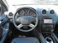 Black - ML 350 Photo No. 21