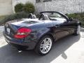 2009 Capri Blue Metallic Mercedes-Benz SLK 300 Roadster  photo #3