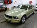 Legend Lime Metallic - Mustang V6 Deluxe Coupe Photo No. 1