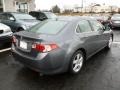 Polished Metal Metallic - TSX Sedan Photo No. 6
