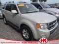 2008 Light Sage Metallic Ford Escape Limited  photo #1