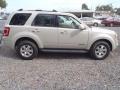 2008 Light Sage Metallic Ford Escape Limited  photo #3