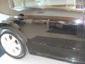 2007 Super Black Nissan Maxima 3.5 SL  photo #11