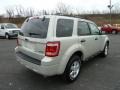 2009 Light Sage Metallic Ford Escape XLT V6 4WD  photo #2