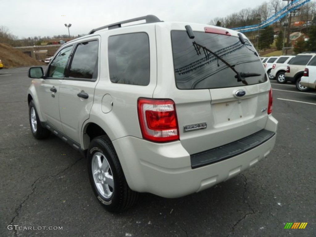 2009 Escape XLT V6 4WD - Light Sage Metallic / Stone photo #4