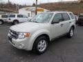 2009 Light Sage Metallic Ford Escape XLT V6 4WD  photo #5