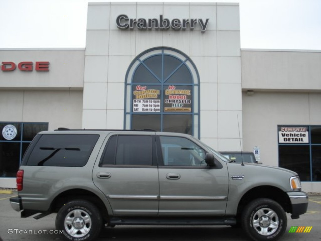 Spruce Green Metallic Ford Expedition