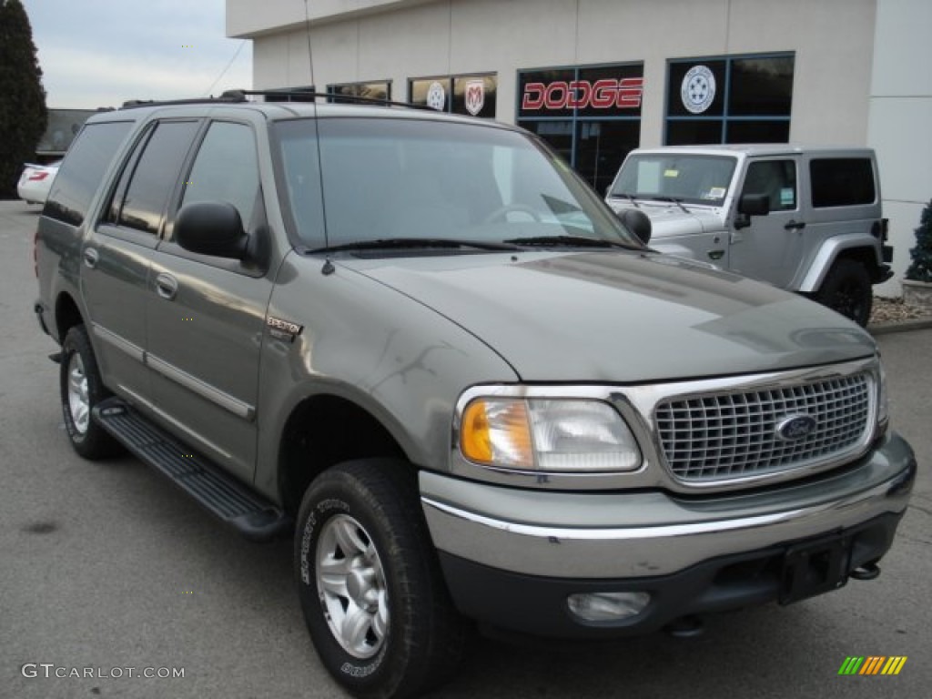 1999 Expedition Eddie Bauer 4x4 - Spruce Green Metallic / Medium Prairie Tan photo #2