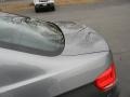 2009 Space Grey Metallic BMW 3 Series 335i Coupe  photo #24