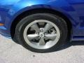 2006 Vista Blue Metallic Ford Mustang GT Premium Coupe  photo #10