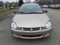 Light Almond Pearl Metallic - Neon SXT Photo No. 6