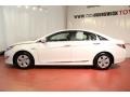 Porcelain White Pearl - Sonata Hybrid Photo No. 3