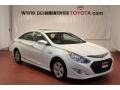 Porcelain White Pearl - Sonata Hybrid Photo No. 4