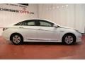 Porcelain White Pearl - Sonata Hybrid Photo No. 5