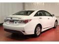 Porcelain White Pearl - Sonata Hybrid Photo No. 6