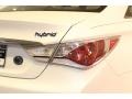 Porcelain White Pearl - Sonata Hybrid Photo No. 17
