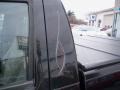 Black - Colorado LS Regular Cab 4x4 Photo No. 10