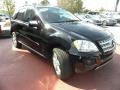 Black - ML 350 4Matic Photo No. 2