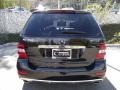 Black - ML 350 Photo No. 4