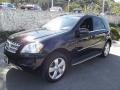 Black - ML 350 Photo No. 6