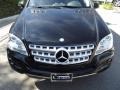 Black - ML 350 Photo No. 11