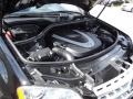 Black - ML 350 Photo No. 42
