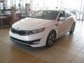 Snow White Pearl - Optima Hybrid Photo No. 1