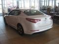 Snow White Pearl - Optima Hybrid Photo No. 2